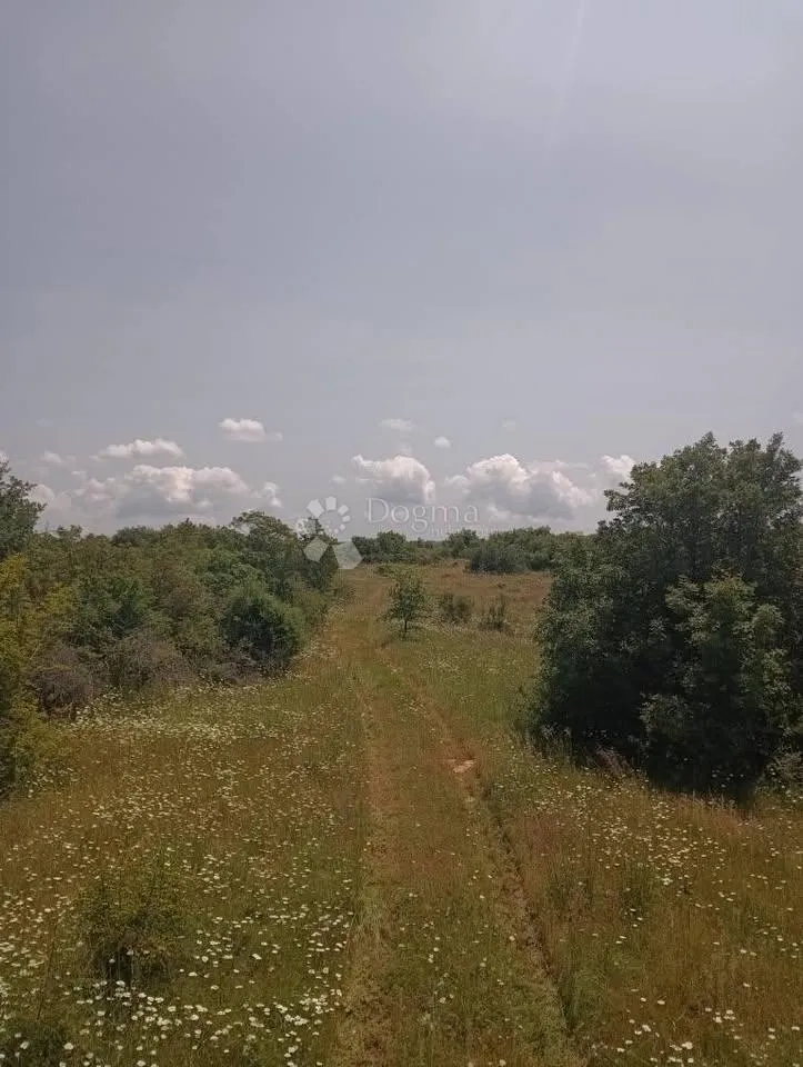 poljoprivredno zemljište 47760m2 - krmed - slika 3