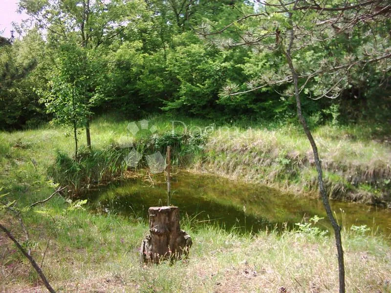 istra, impozantno imanje - slika 8