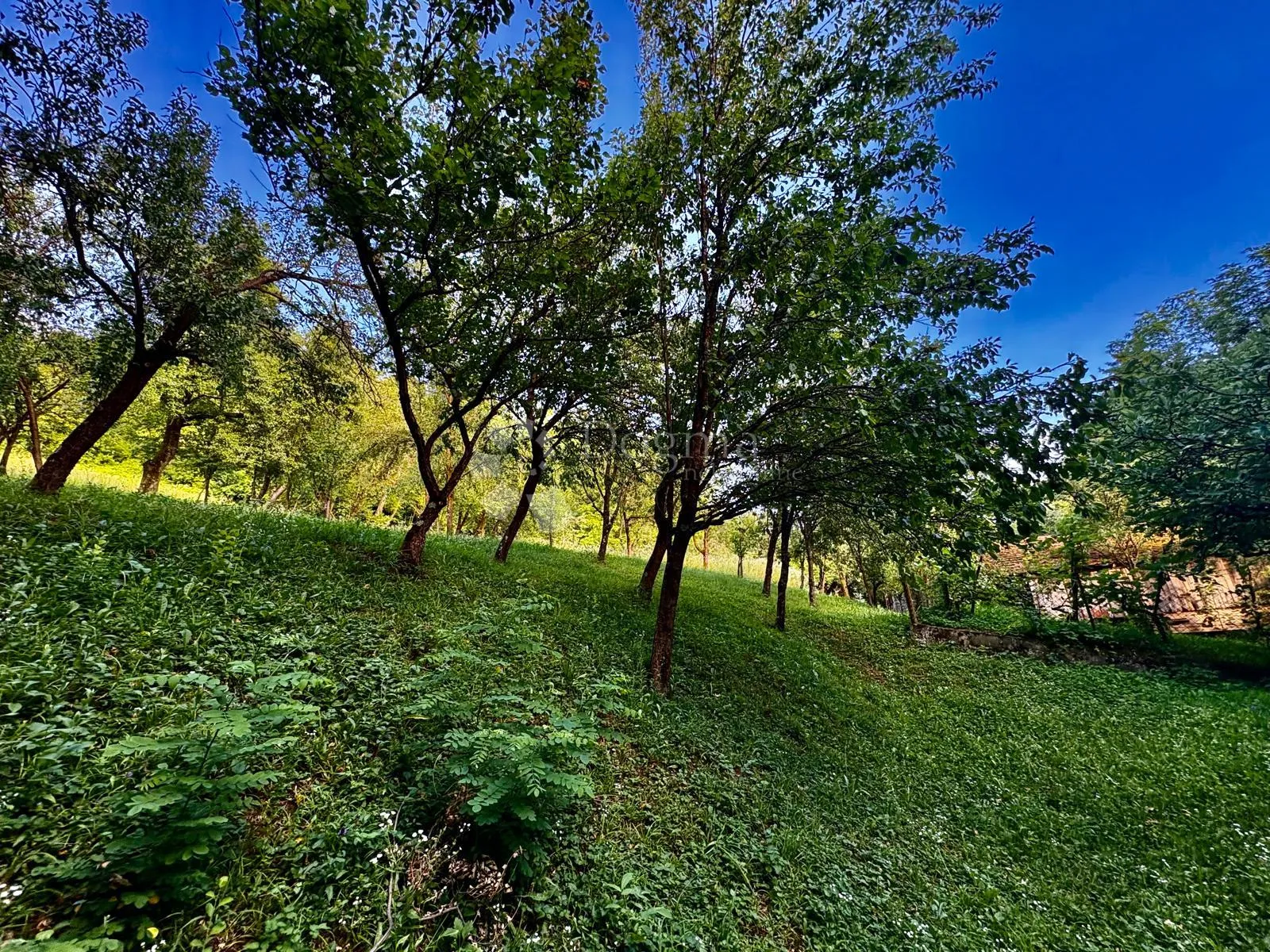 investicijsko imanje s pogledom na dolinu sutle - slika 32