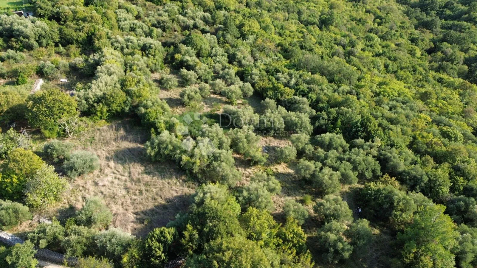 labin,okolica,,poljoprivredno zemljište (maslinik i šuma) ,graniči sa građevinskim,samo u našoj ponudi - slika 8