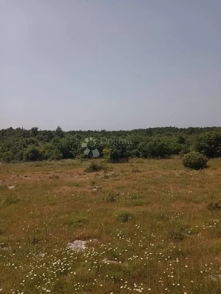 poljoprivredno zemljište 47760m2 - krmed - slika 5