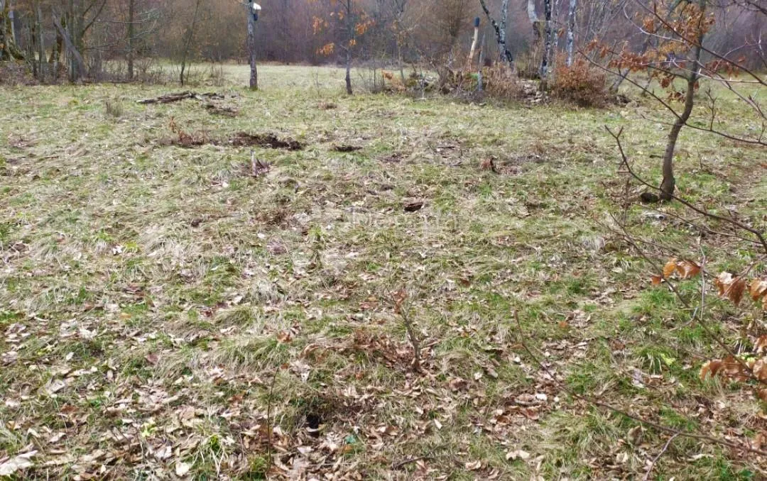 divljina na vašoj strani – idealna lokacija za lov i potpunu privatnost - slika 3