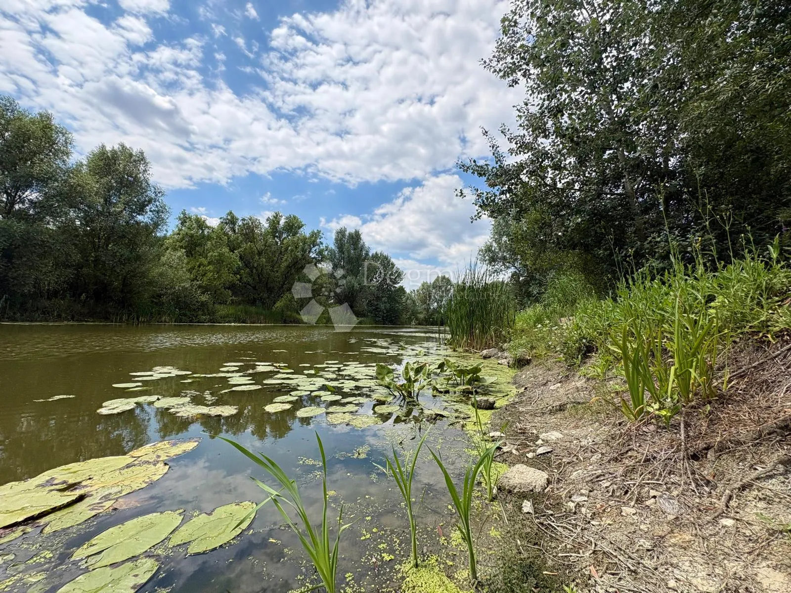 atraktivno imanje s ribnjakom i turističkim potencijalom - slika 20