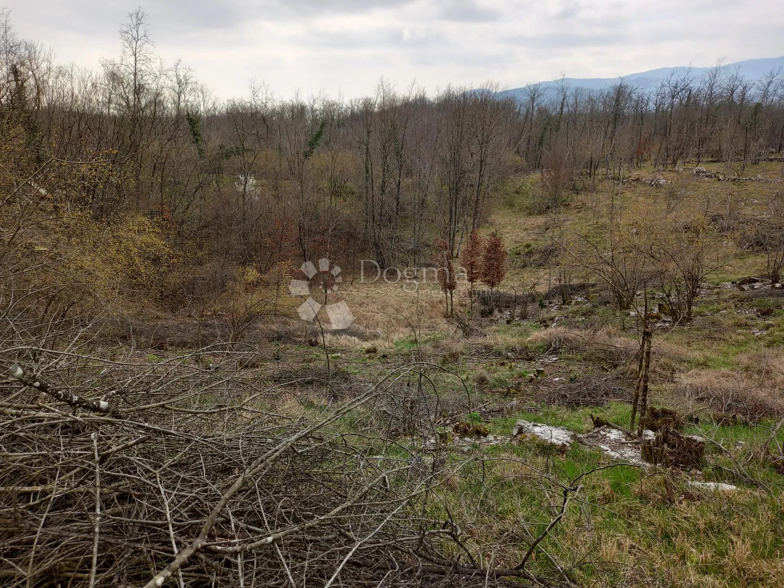 permani, zemljište uz glavnu cestu - slika 11