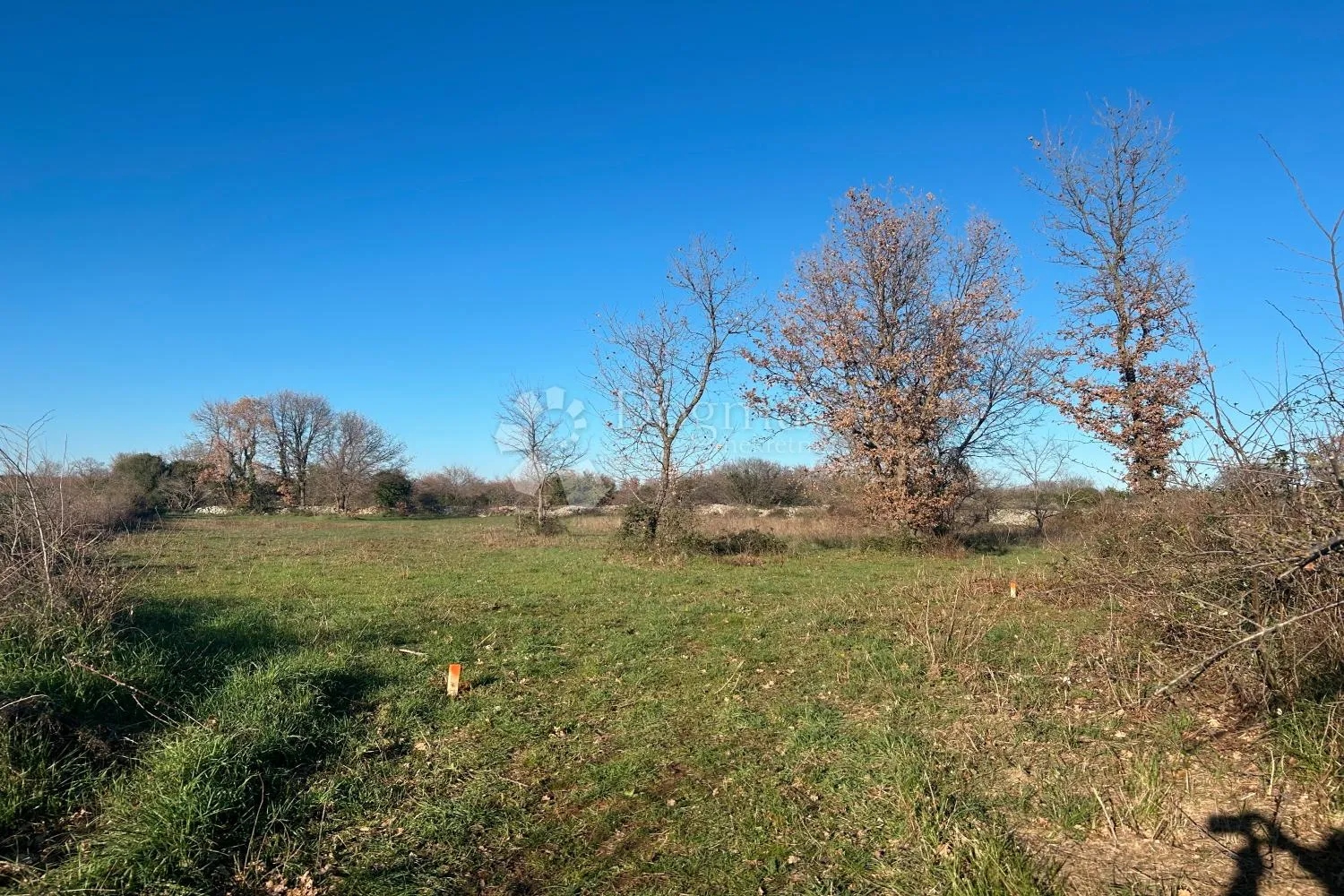 vodnjan – privatnost s pogledom na more i prirodu - slika 2