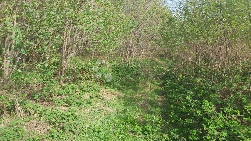 poljoprivredno zemljište, livada - slika 5