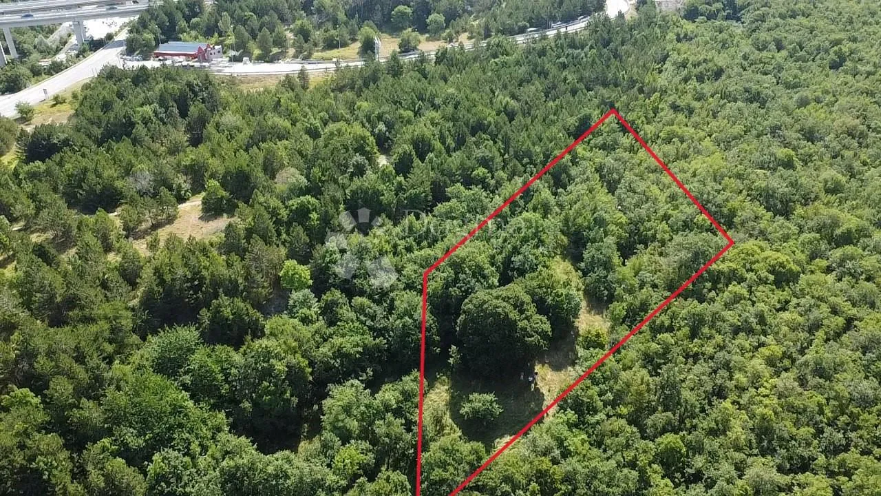 starina sa potencijalom za odličan prihod - slika 16