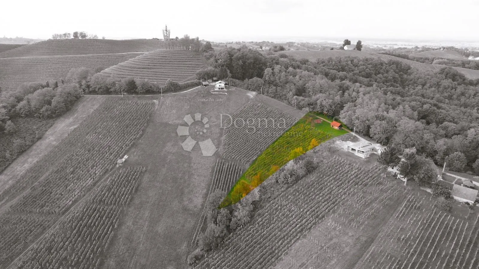 panoramski pogled, vinograd i prostor za gradnju - slika 4
