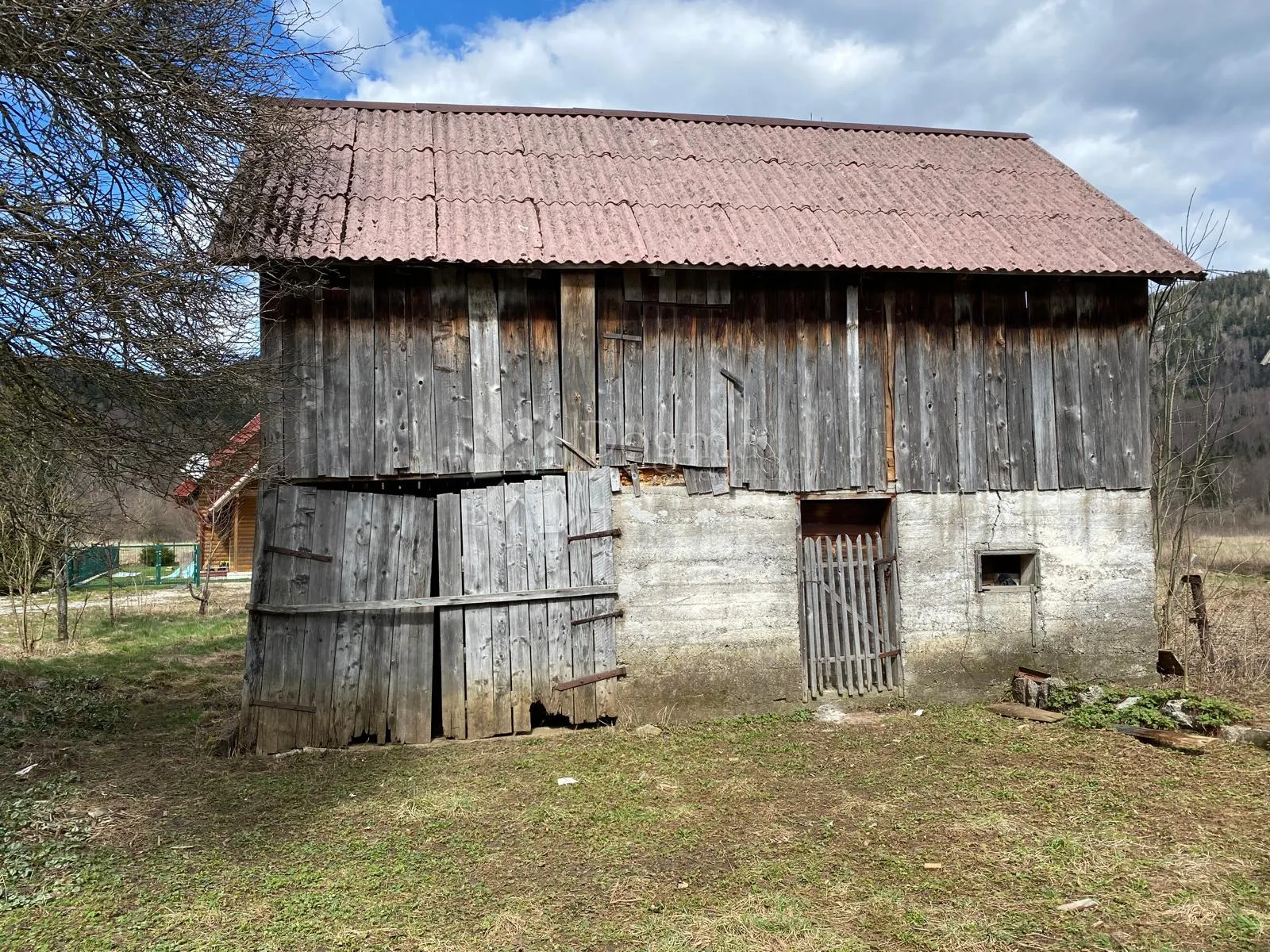 bjelolasica, jasenak, - slika 2