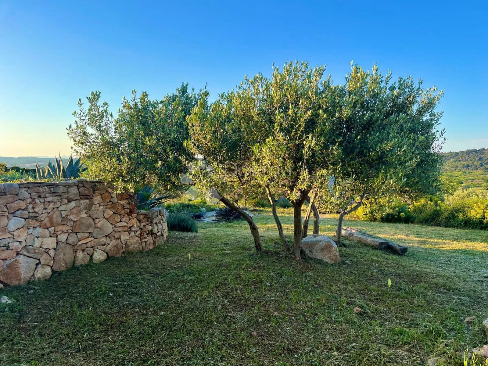 kuća šolta sa građevinskim zemljištem 2850m2 - slika 3