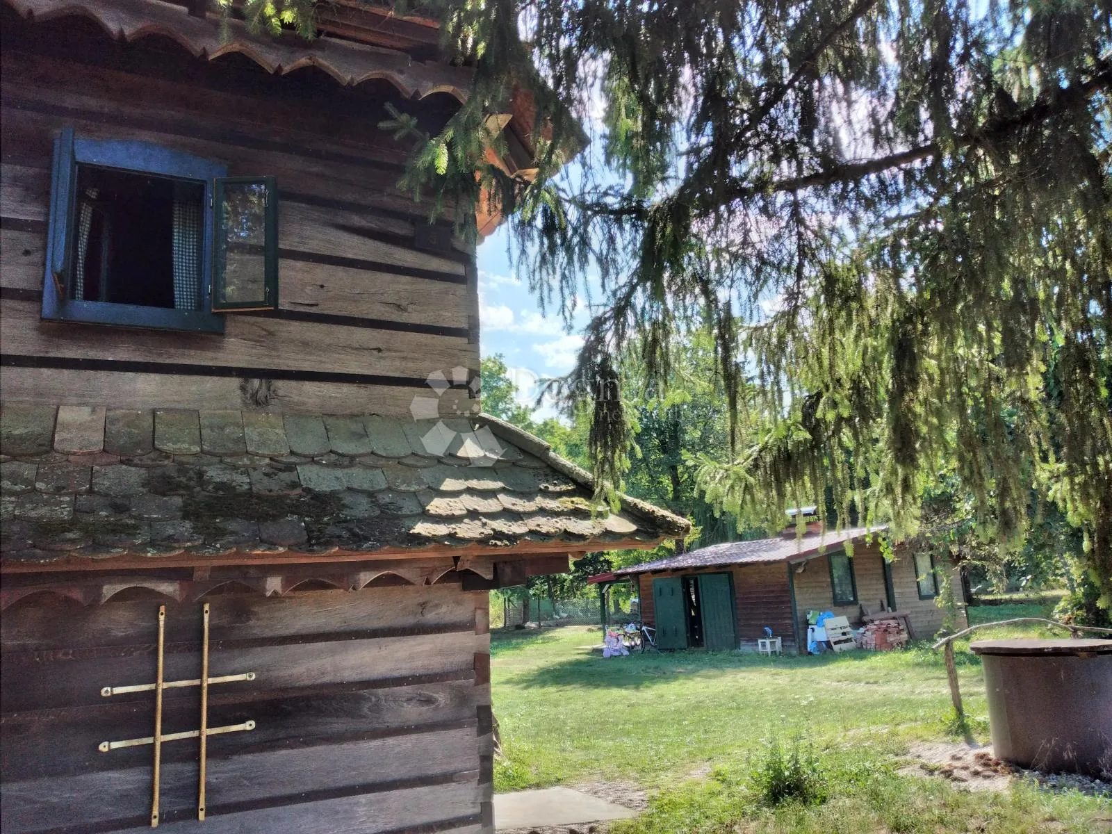 šumska vila - slika 36