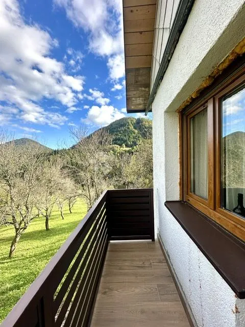 ravna gora, kuća s 4.500m2 okućnice - slika 16