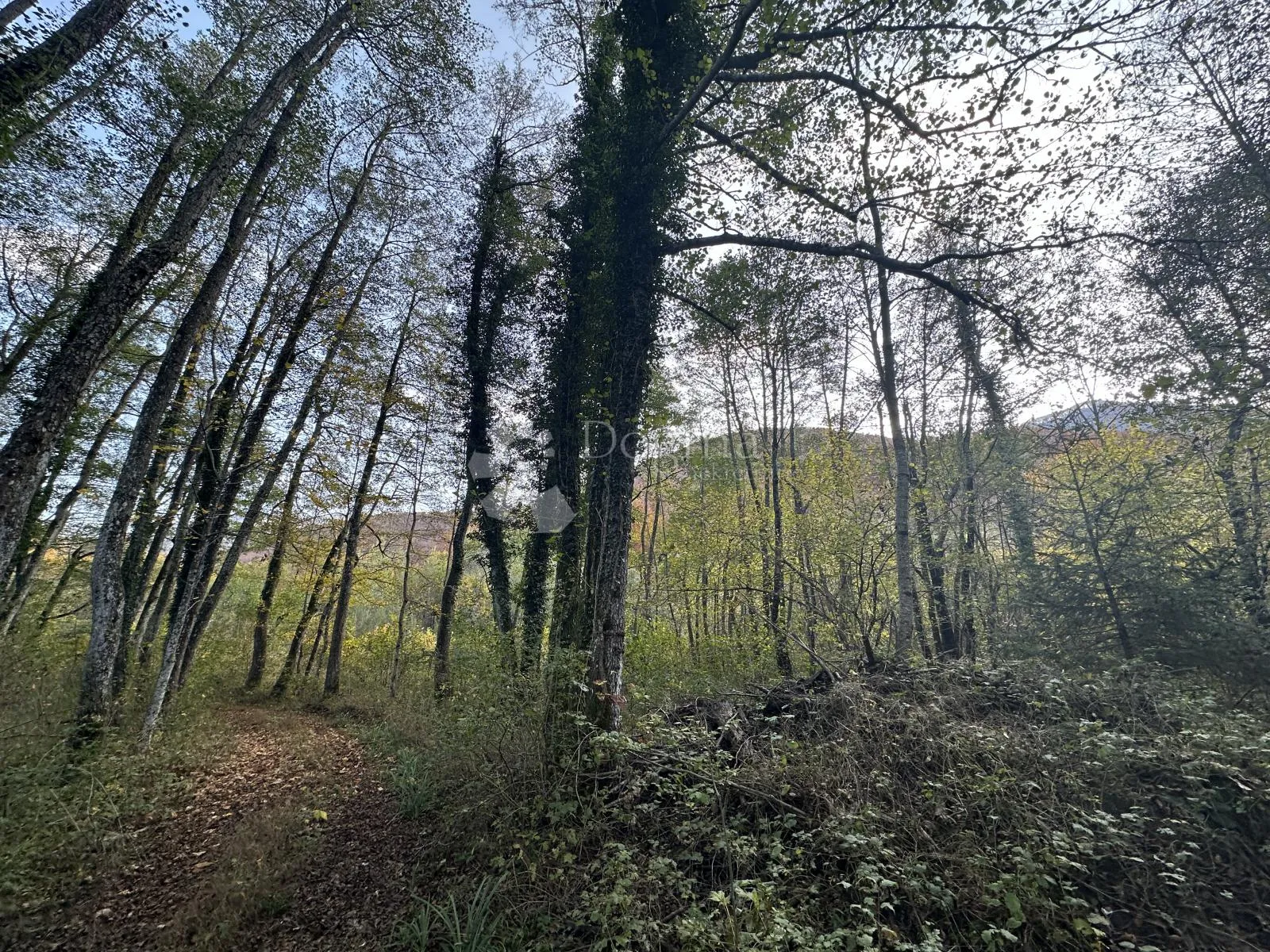 brušane 7300 m2 - turistička namjena - slika 8
