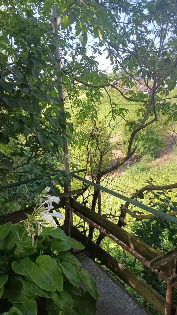 kuća na falinić bregu – idiličan dom u prirodi - slika 11