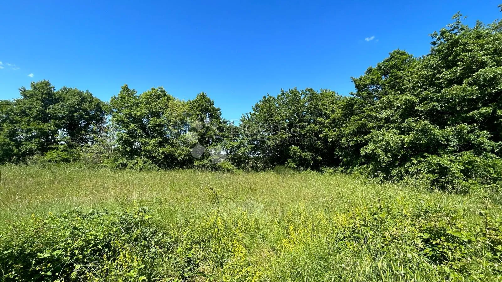 poljoprivredno zemljište u muntiću: 1971 m² - slika 2