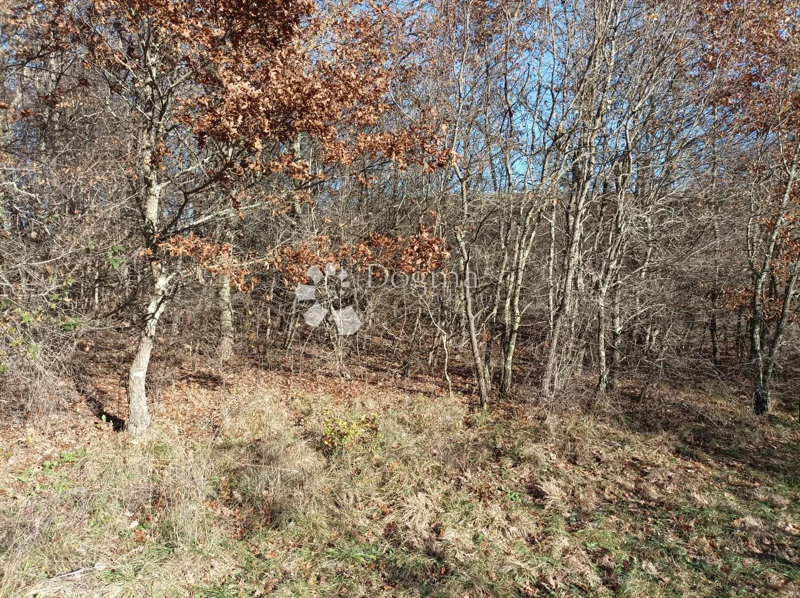 poljoprivredno zemljište 2020m2 10800e - prilika - slika 2