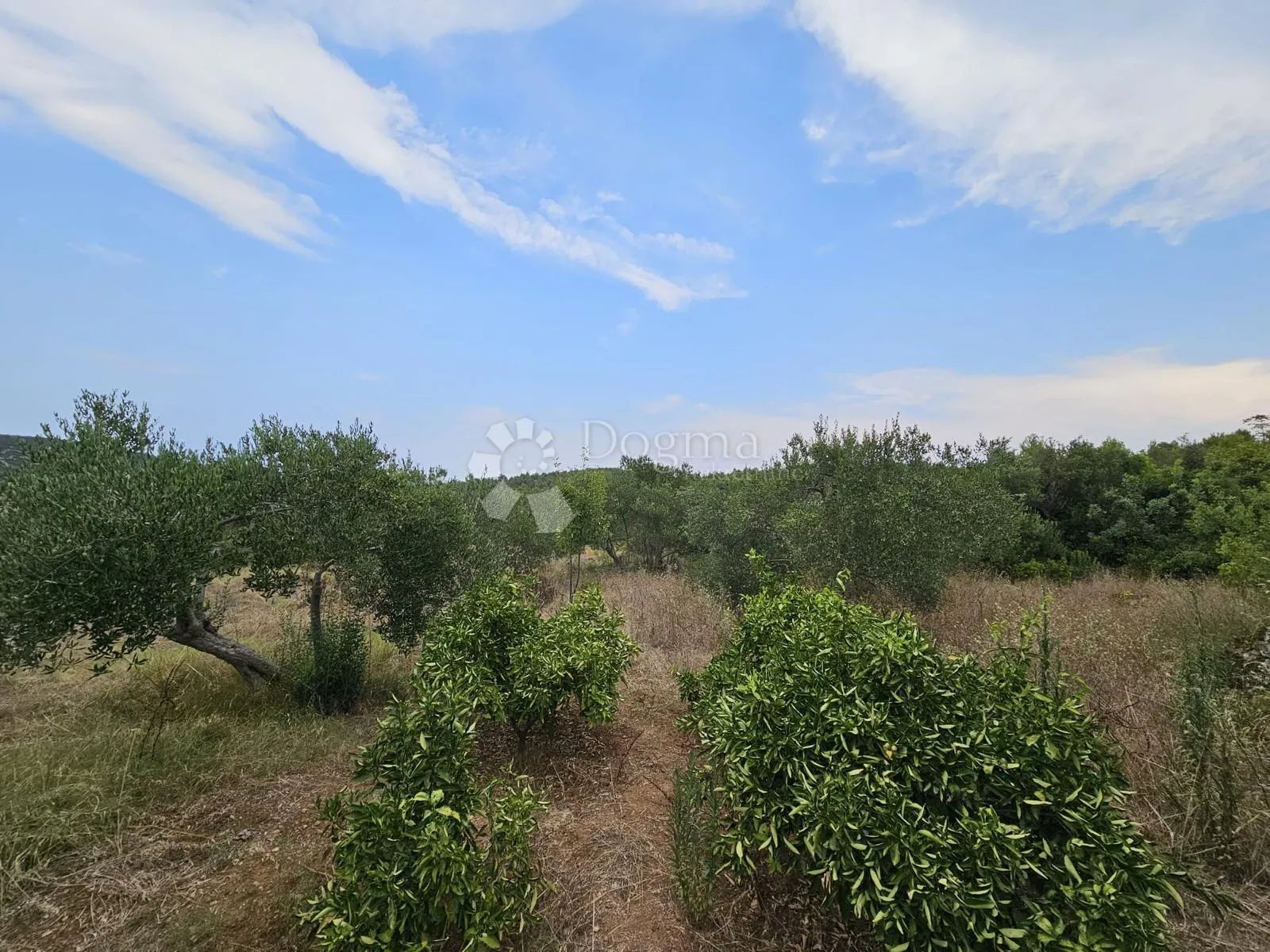 prodaja kuće u tisnom- visoki rohbau - slika 6