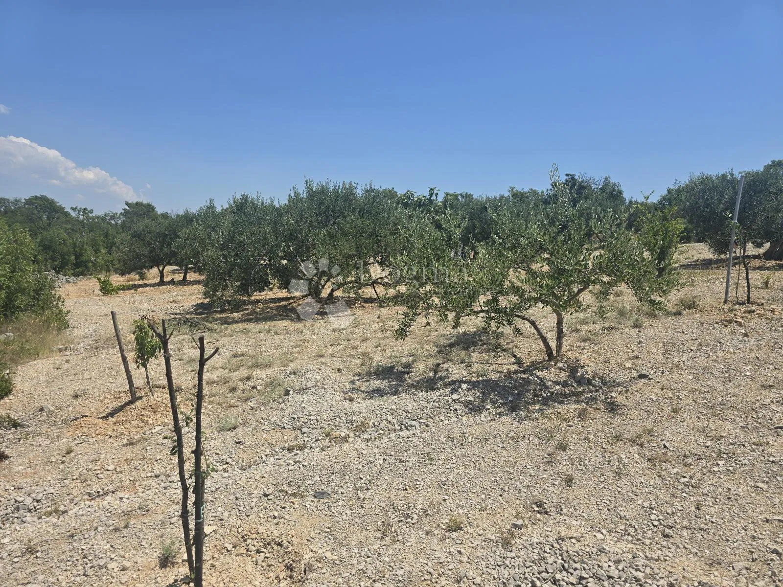 primošten, vadalj - građevinsko zemljište 1256 m² - slika 1