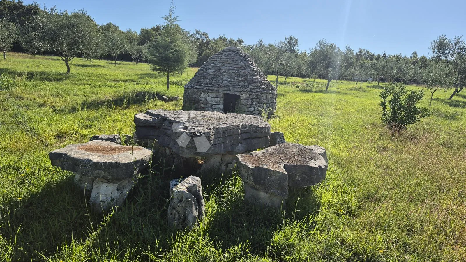 poljoprivredno zemljište sa istarskim kažunom i maslinama 13979 m2 - slika 2