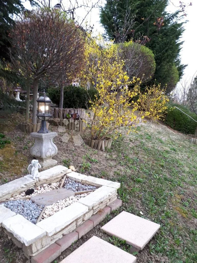 vila na varaždinbregu s prekrasnim arboretumom - slika 18