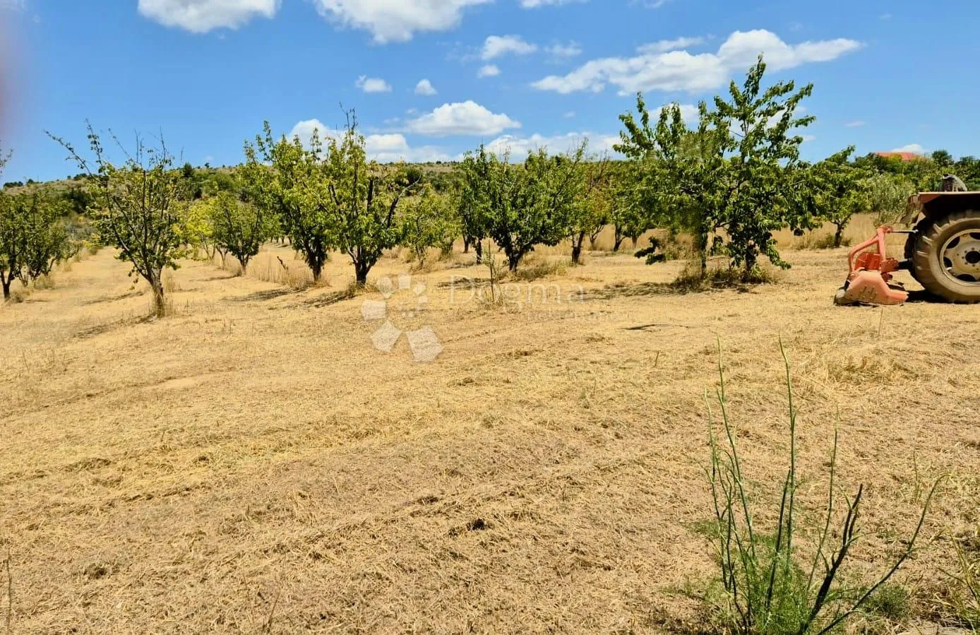 građevinsko zemljište kožlovac, benkovac - slika 2