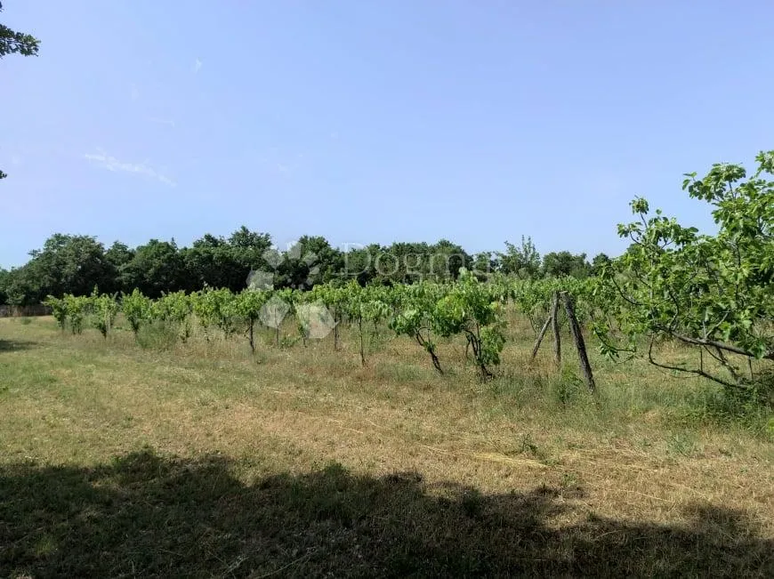 prekrasna stancija u okolici pule, s 10000 m² urbaniziranog zemljišta - slika 64
