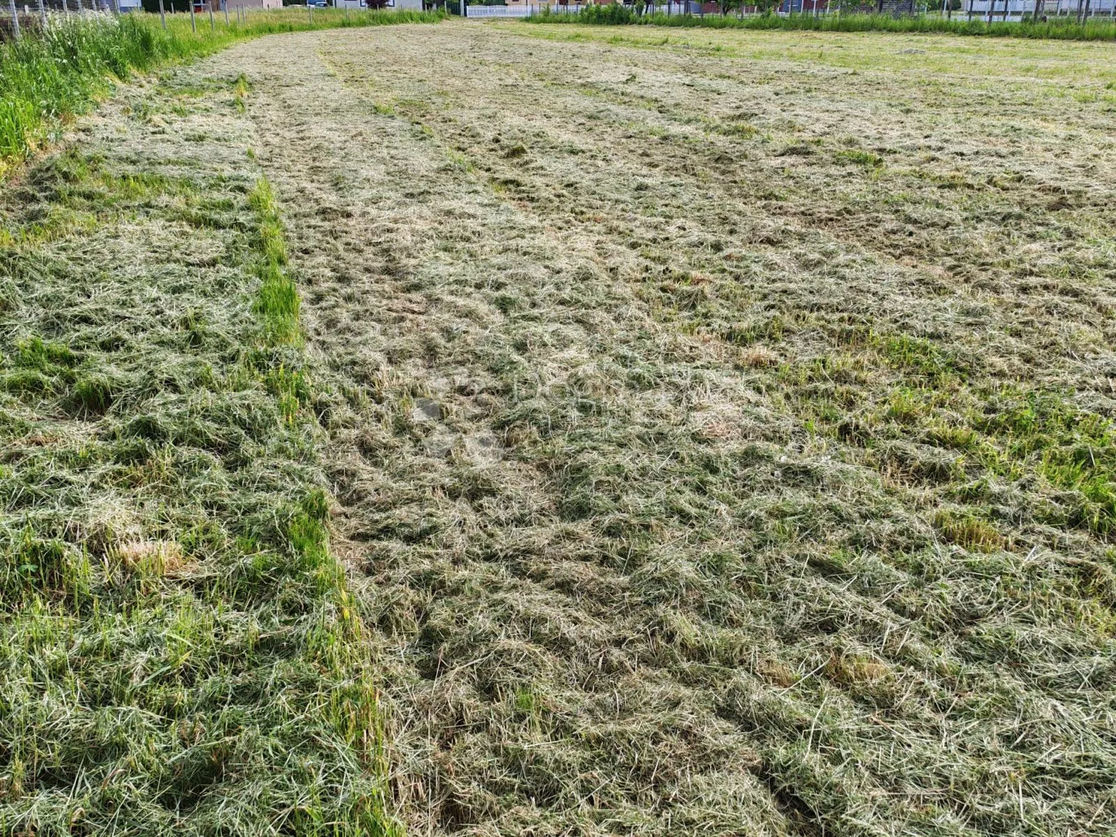 odlična prilika! građevinsko zemljište 2.387 m² s kućom u trnovcu bartolovečkom - slika 8