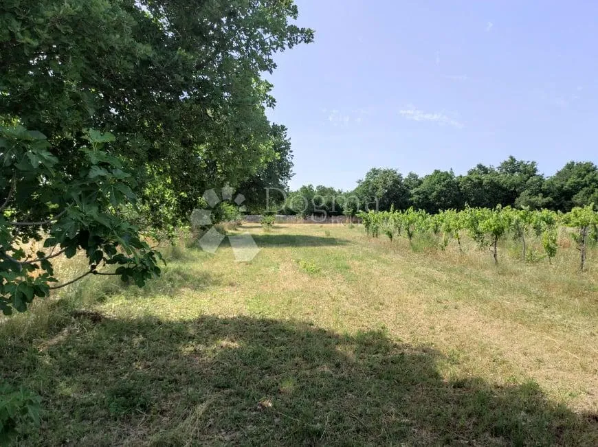 prekrasna stancija u okolici pule, s 10000 m² urbaniziranog zemljišta - slika 63