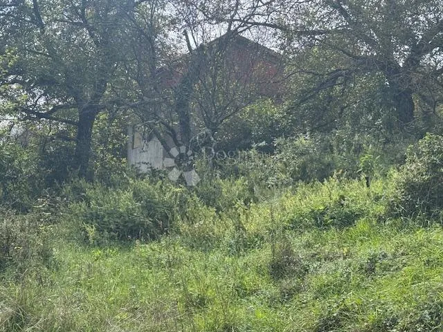 građevinsko + negrađevinsko zemljište šapjane sa objektom! - slika 4
