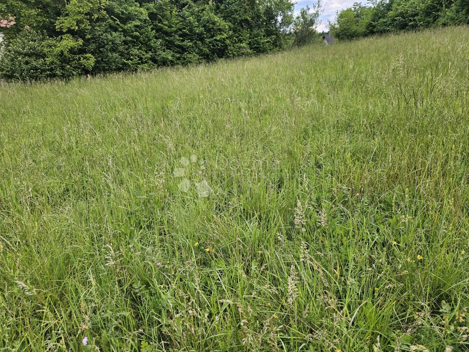 predivno zemljište - slika 8