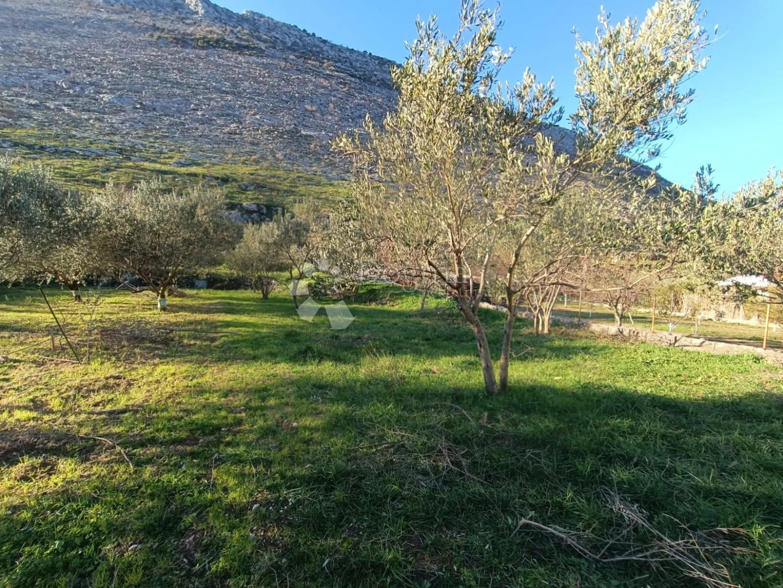 prilika! poljoprivredno zemljište srinjine, split - slika 3