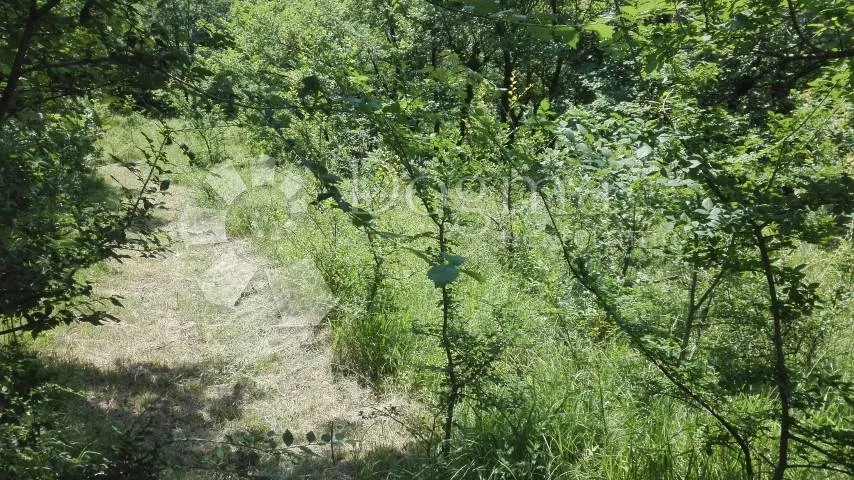 prodaja terena / sušačka draga - slika 3