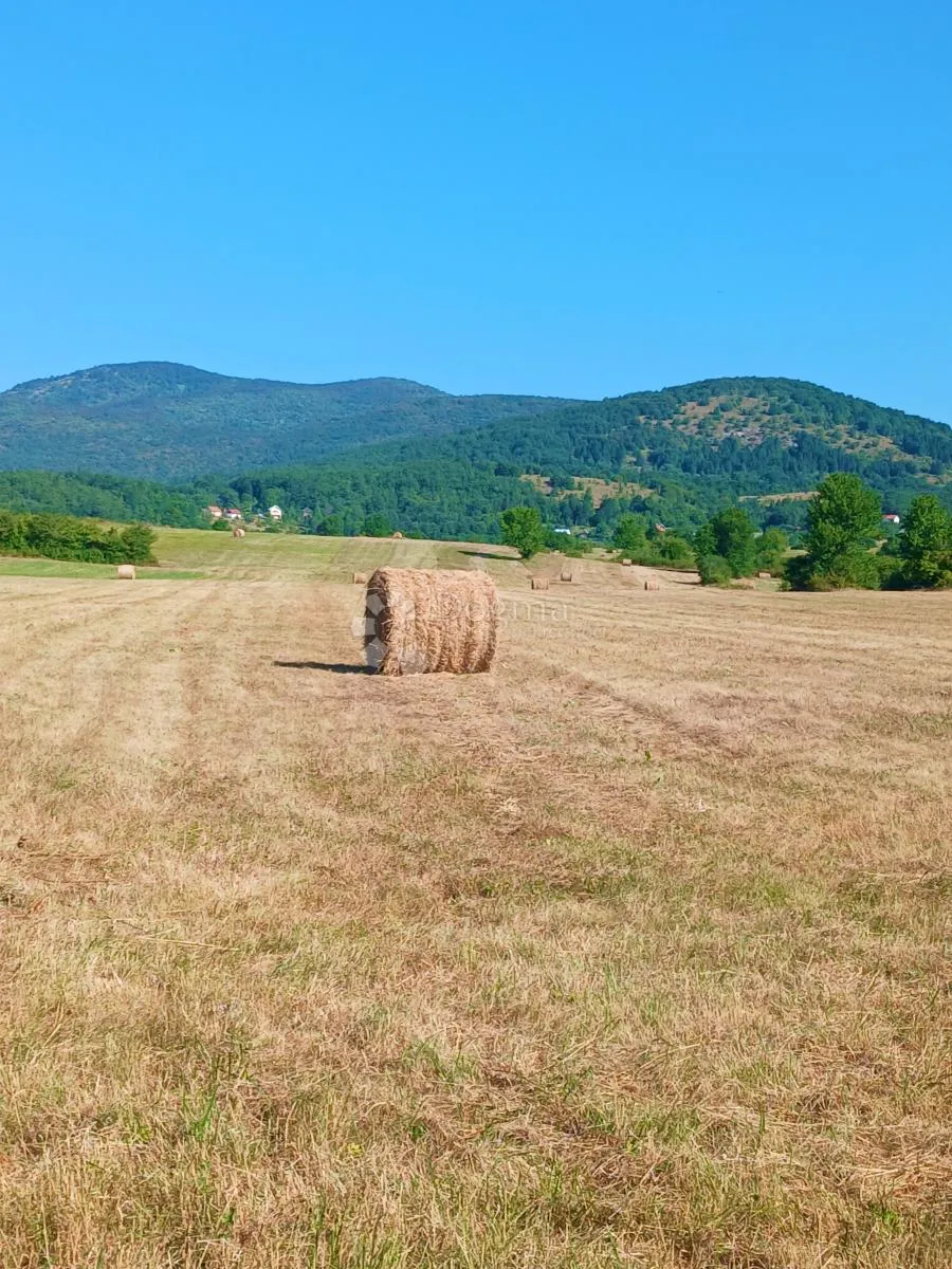 poljoprivredno zemljište 17.440 m² – donji lapac – odmah uz cestu - slika 2