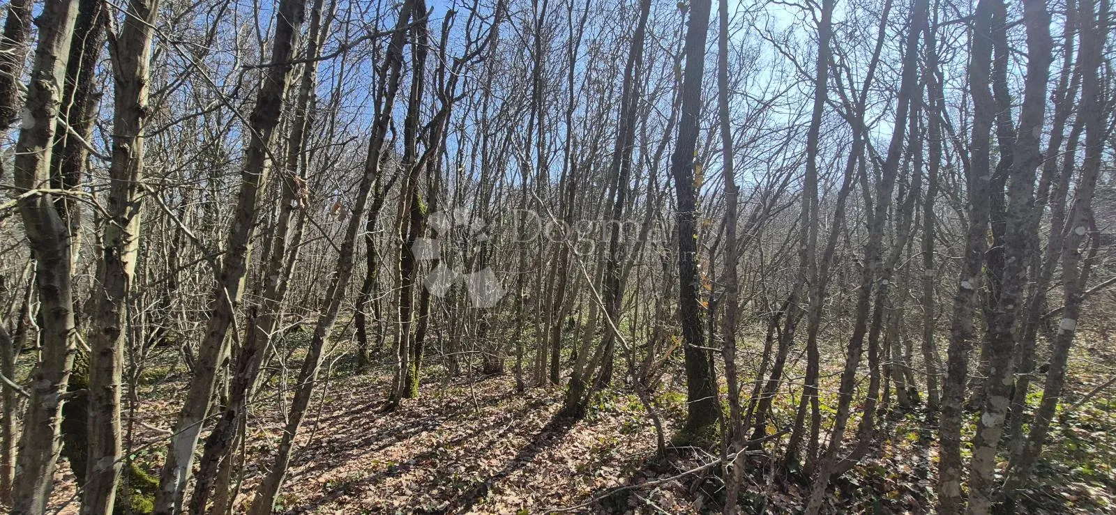 poljoprivredno zemljište površine 23953 m2 sa ogromnim potencijalom - slika 5