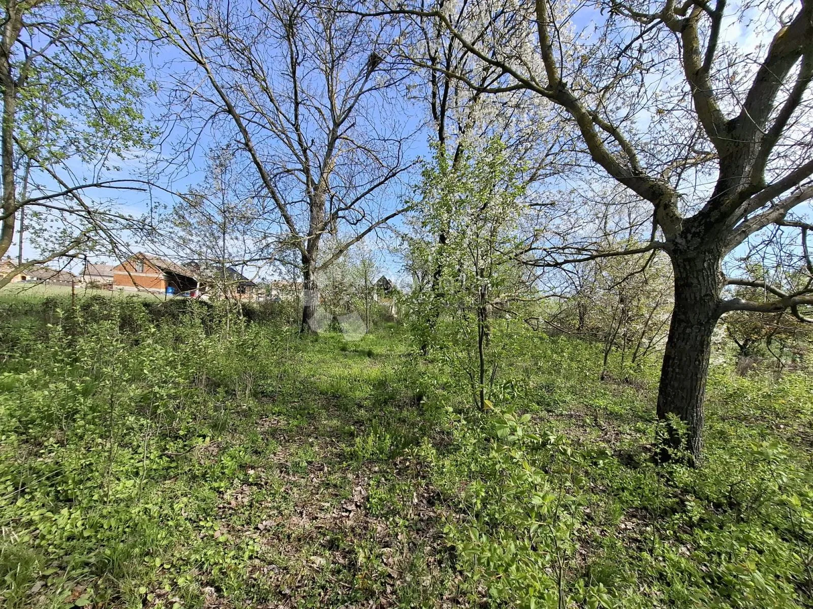 kuća za rušenje na prostranom imanju 2314 m² - slika 5