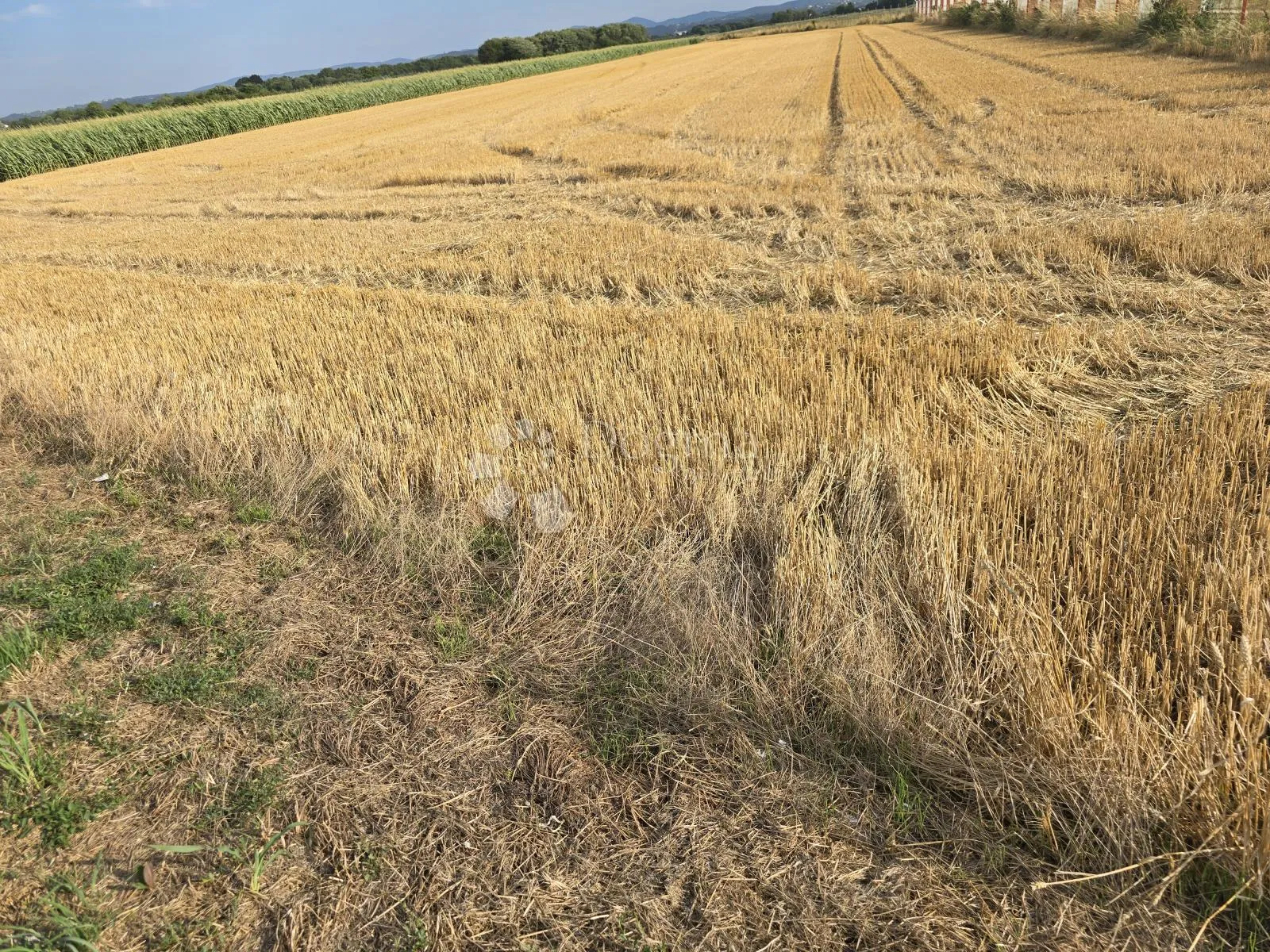 zemljište uz glavnu cestu između varaždina i trnovca – 4310 m² - slika 3