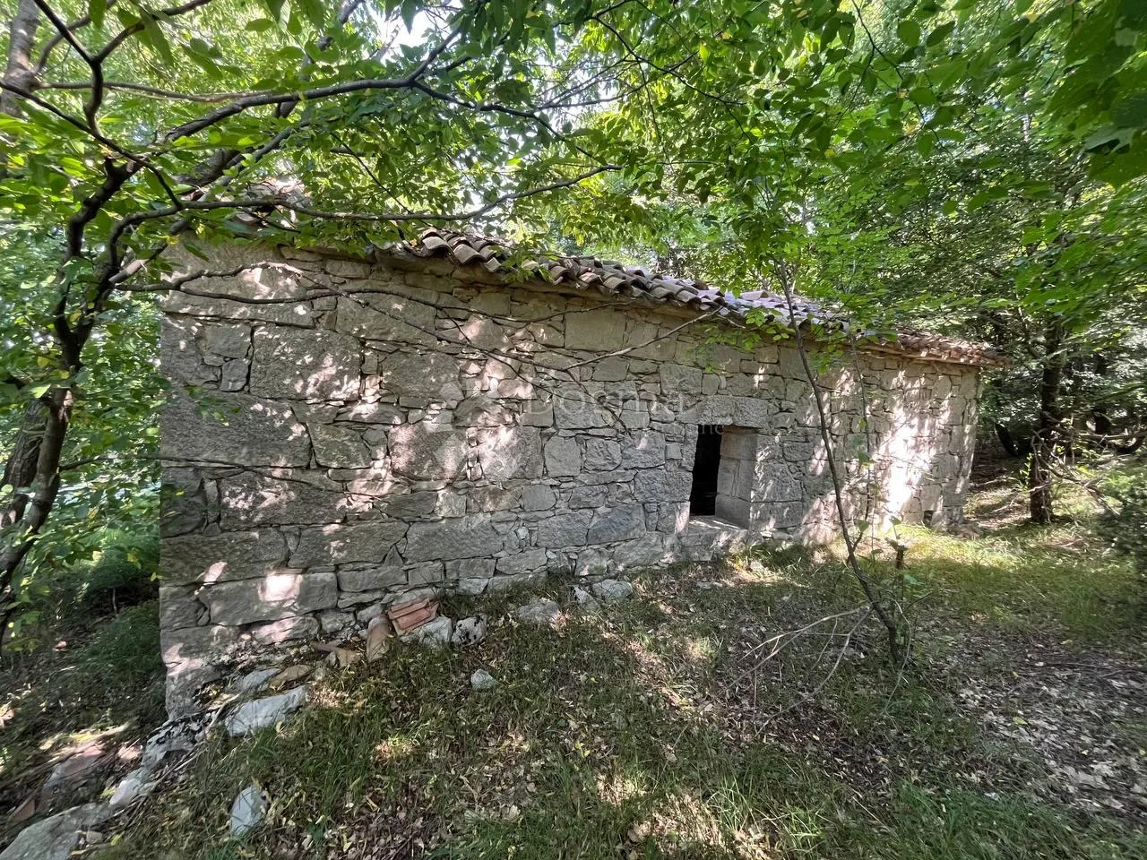 starina sa potencijalom za odličan prihod - slika 3