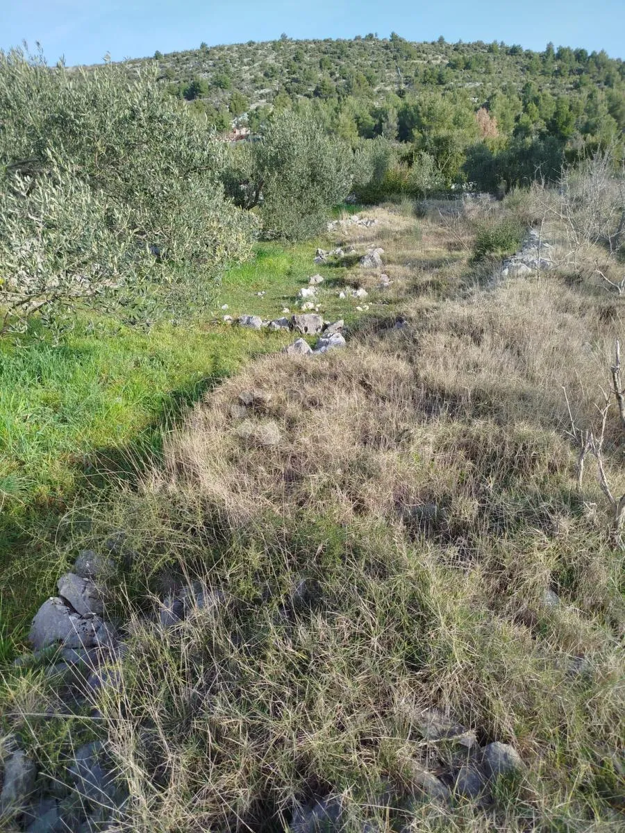 poljoprivredno zemljište marina - slika 2