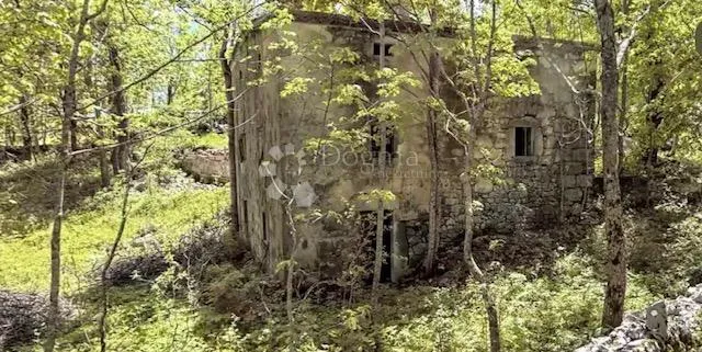 krmpote,ruševna starina - slika 5