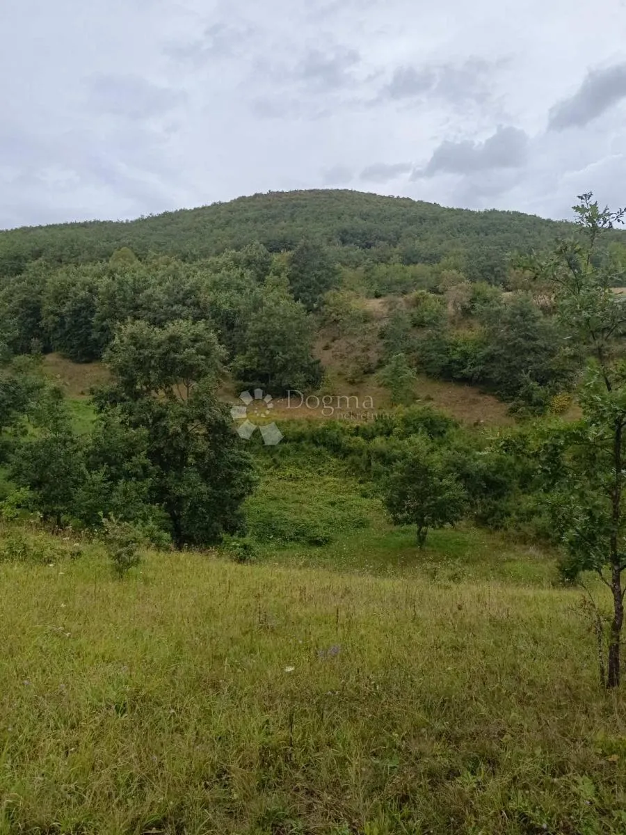 poljoprivredno / građevinsko zemljište 165 000 m2 - slika 1
