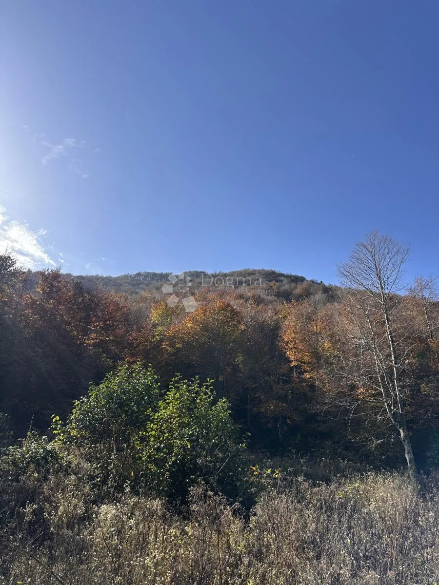 prodaje se poljoprivredno zemljište 3000 m2 podno velebita - slika 13