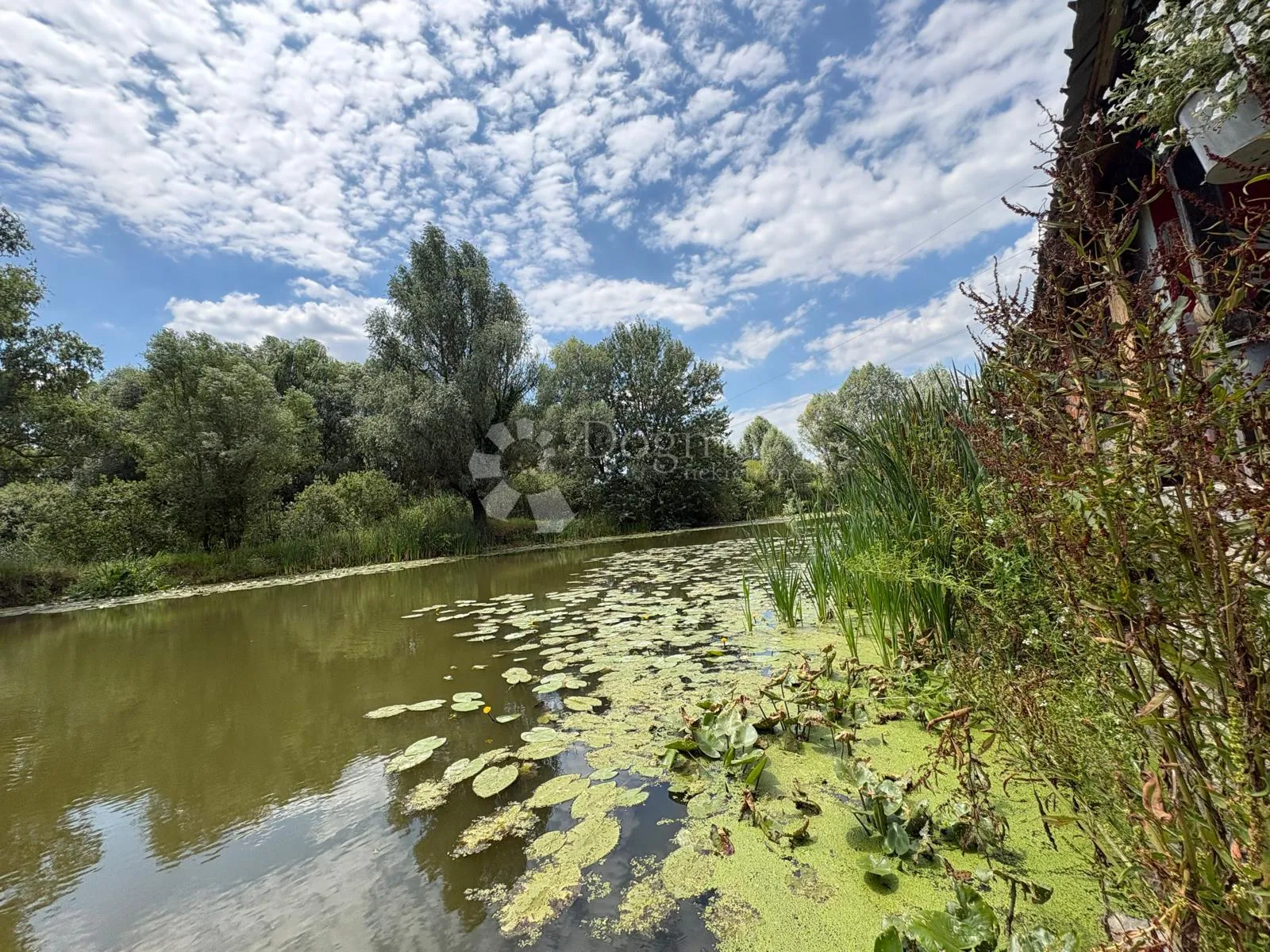 atraktivno imanje s ribnjakom i turističkim potencijalom - slika 15