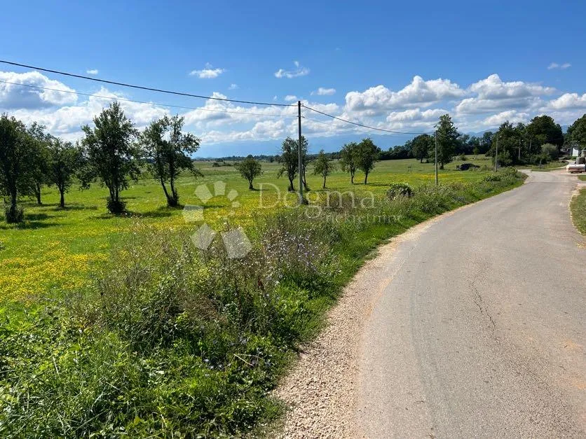 građevinsko zemljište pod šumom sunčana strana mušaluk - slika 4