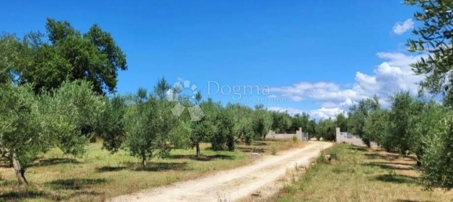 kuća s maslinikom – marčana - slika 5