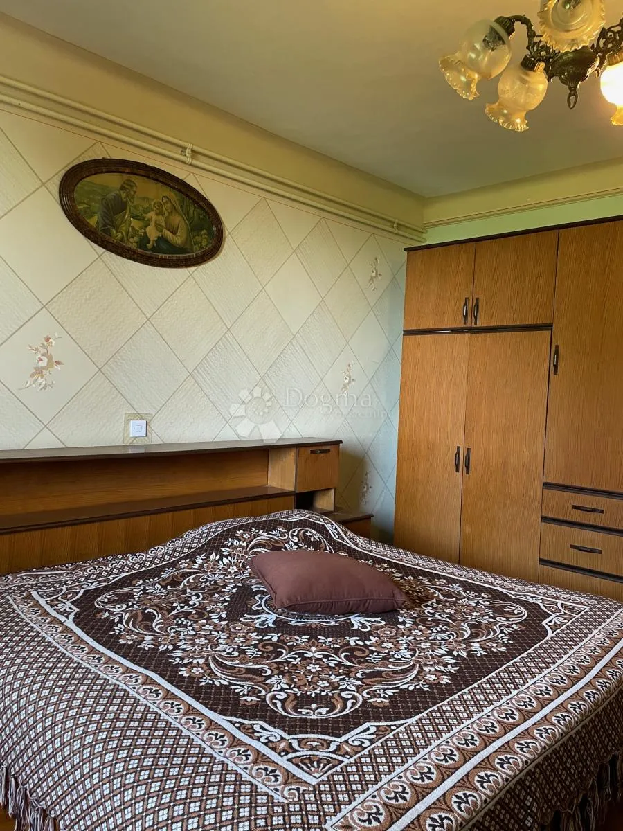 komadić raja koji traži pažnju - slika 42