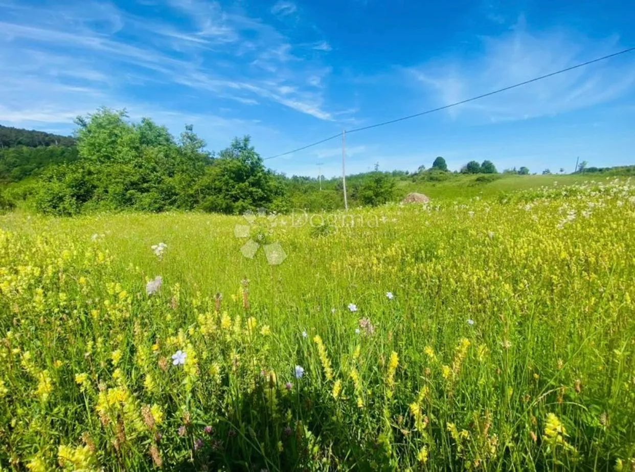 veliko zemljište sa građevinskom zonom slunj/korana - slika 6