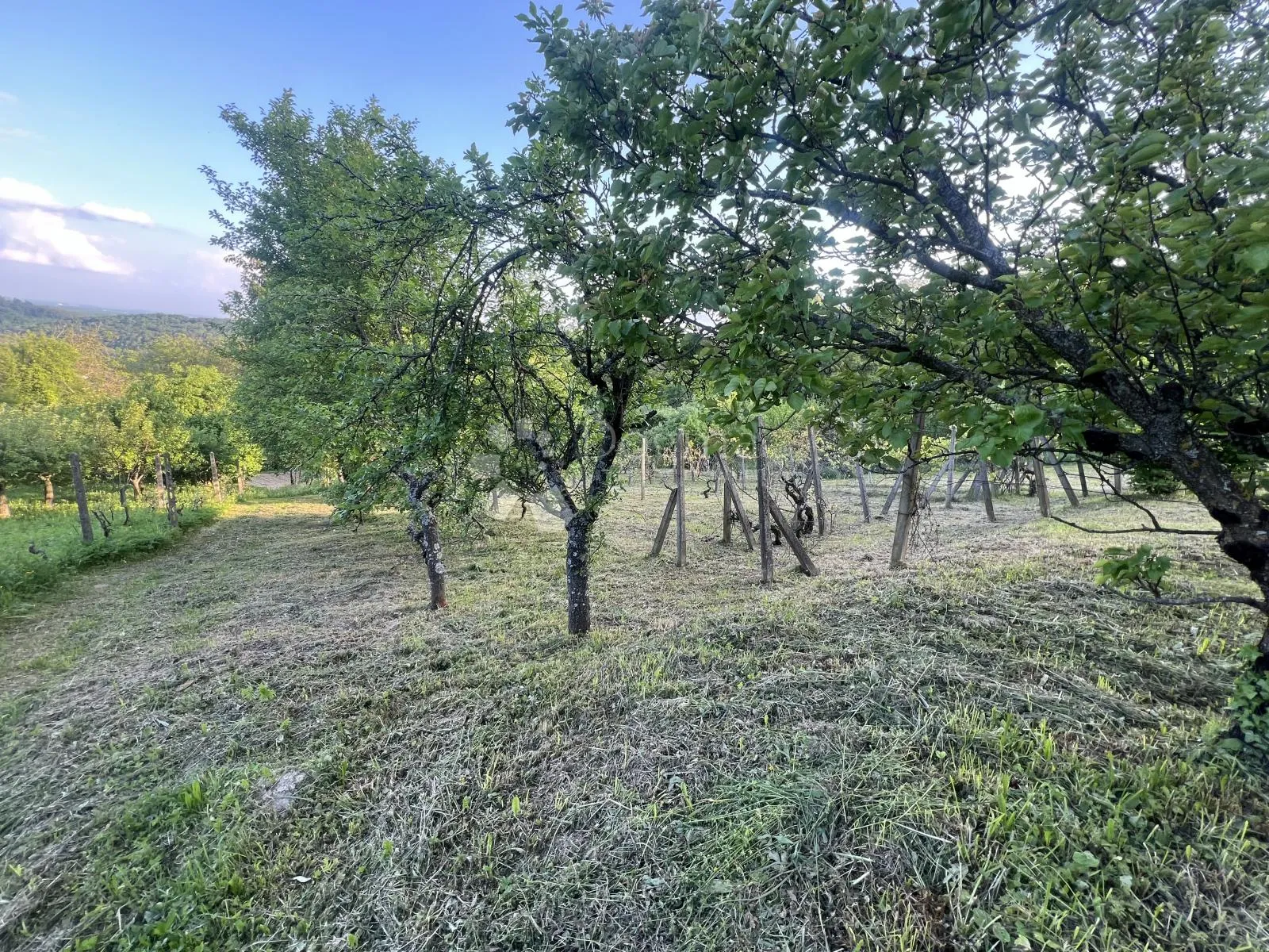 čučerje – poljoprivredno zemljište s pogledom i objektom 1758m2 - slika 10