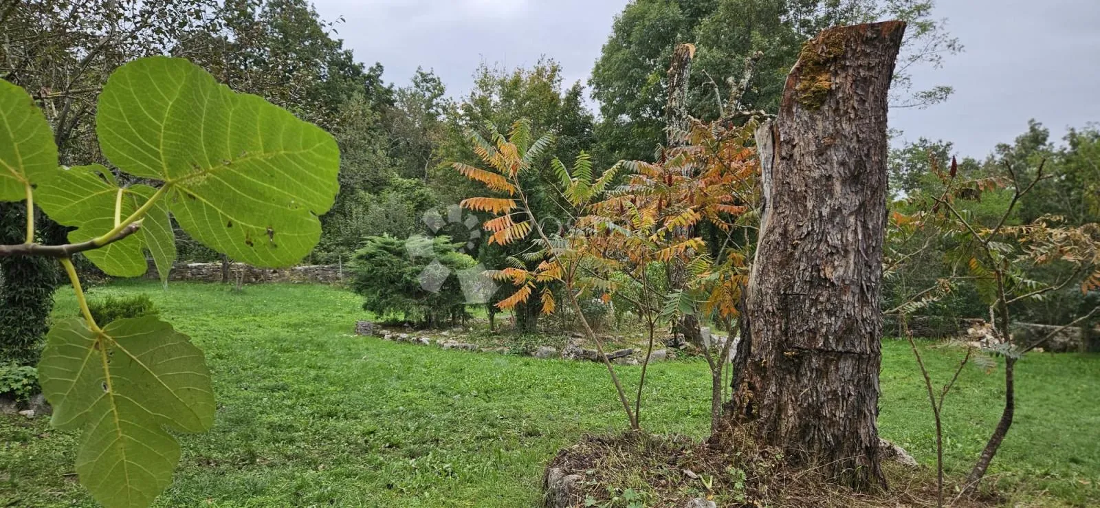 ekskluzivno kuća na osami, okružena šumom - slika 42