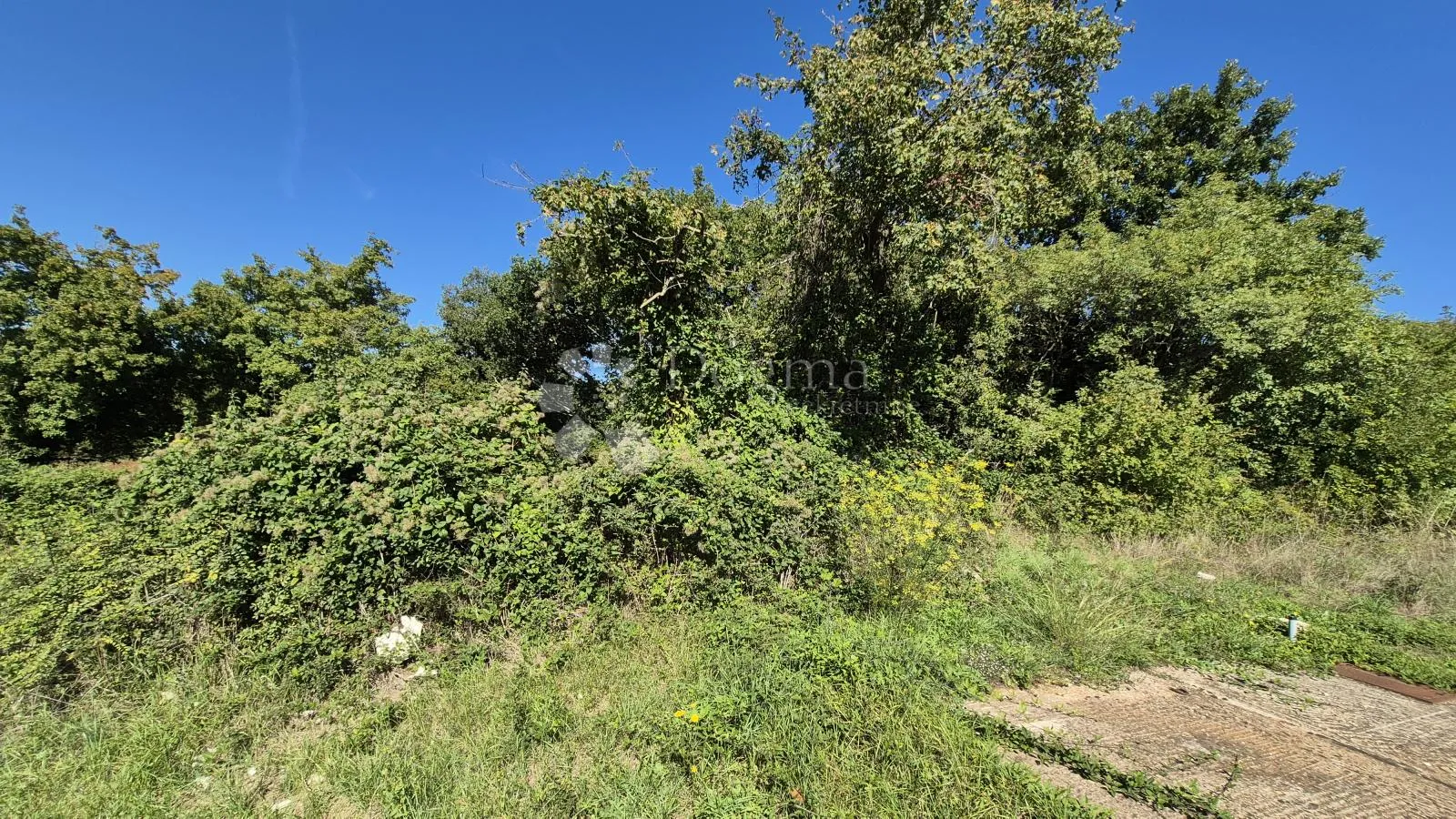prodaje se poljoprivredno zemljište površine 1636 m2 u cukrićima - slika 9