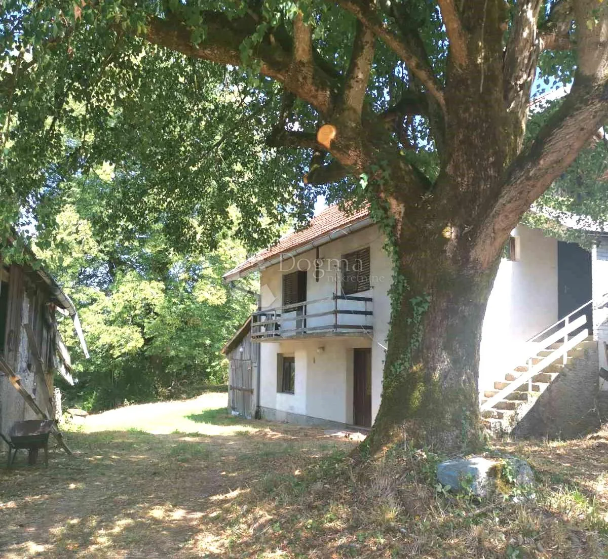 kuća u drežnici - slika 2